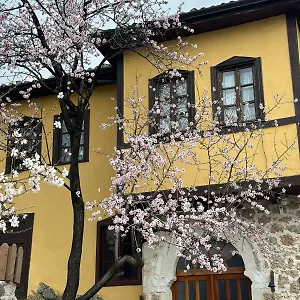 Nesti Inside Of Castle Kruje
